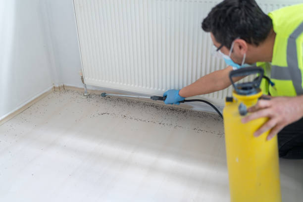 Best Pest Removal Services  in Overland Park, KS