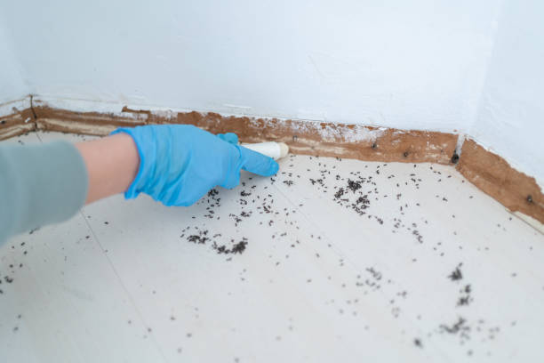 Best Pest Control for Homes  in Overland Park, KS