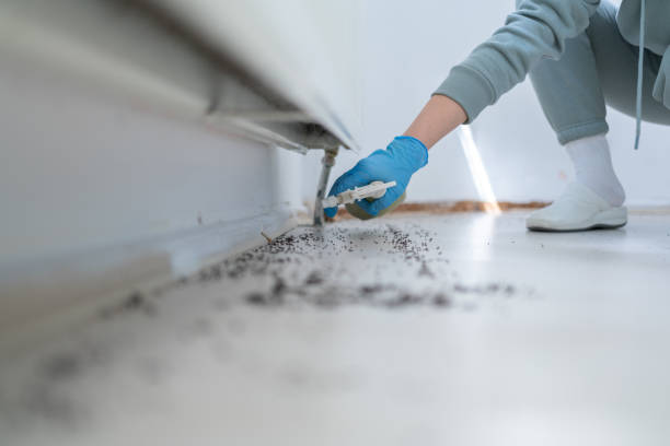 Best Termite Control Services  in Overland Park, KS